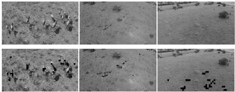 Fig. 11: (Top) Various frames from the datasets and (bottom) the final results