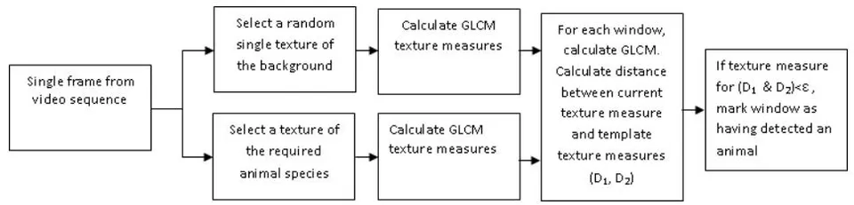 Fig. 1: Flow chart of algorithm