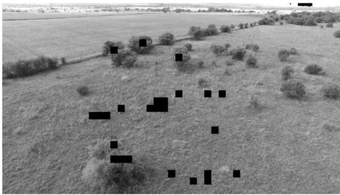 Fig. 8: Final segmented image of figure 7