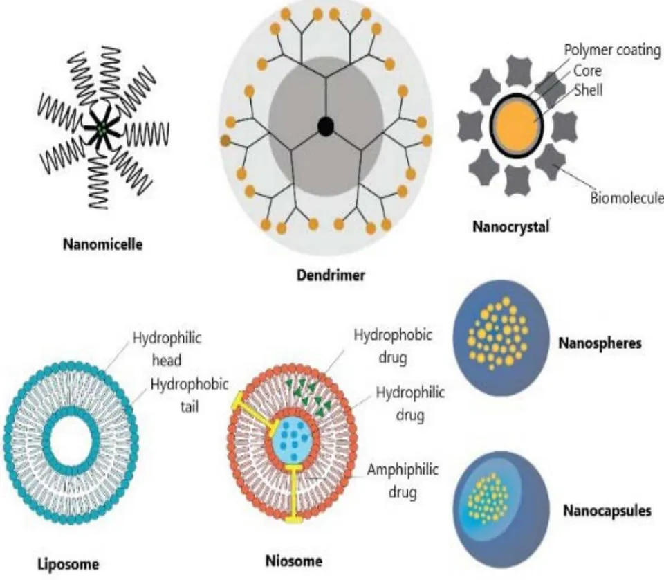 Figure 2: Types of nanosystems