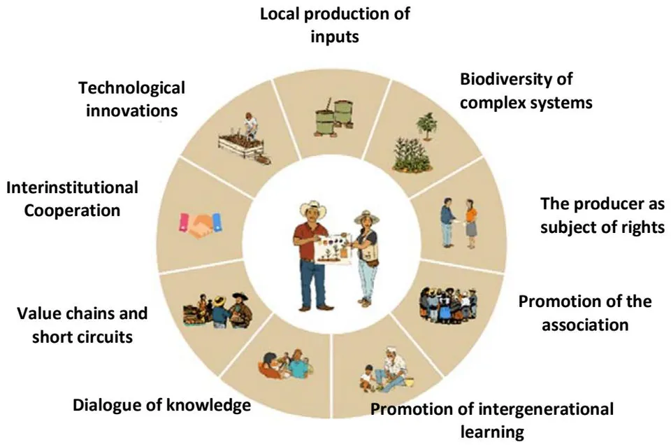 Figure 1: Process for the agroecological transition applied in the Technical Support Strategy of the Production Program for Well-being.