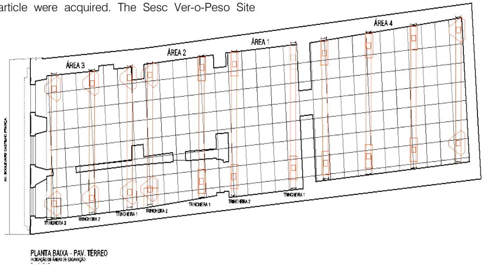 Fig. 1: Plan of the excavated area with the proposed divisions.