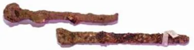 Fig. 6. Corroded iron artifacts from Ravne 3, including the hand-forged nails discussed above (photo: Osmanagich, Hoyle, Agić & Delibašić, 2023; republished in Osmanagich, 2025).