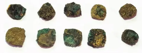 Fig. 5. Corroded bronze coins, Ravne 3 (photo: Osmanagich, Hoyle, Agić & Delibašić, 2023; republished in Osmanagich, 2025).