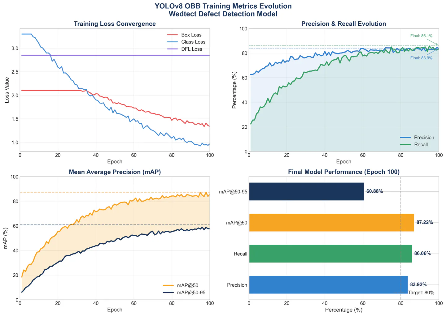 Training evolution over 100 epochs