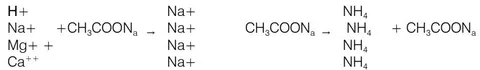 Figure 1: Representation of cation exchange after accede acetate mixing.