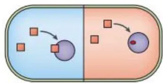 Figure 1: Principais mecanismos de resistência bacteriana.