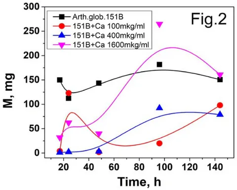 Fig. 2: Dependence of the bacterial growth mass M(mg) on time T(hours) Arthrobacter globiformis151B. The Ca concentration in the food medium is 100 mkg/ml, 400 mkg/ml and 1600 mkg/ml.