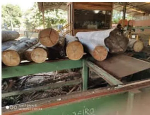 Fig. 12: Logs in line for milling