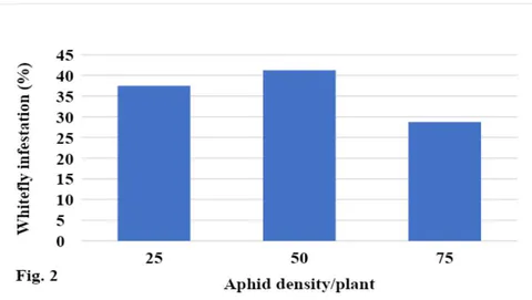 Fig. 1: Effect of infestation interval on the population of whitefly adult attracted toward the infested plants