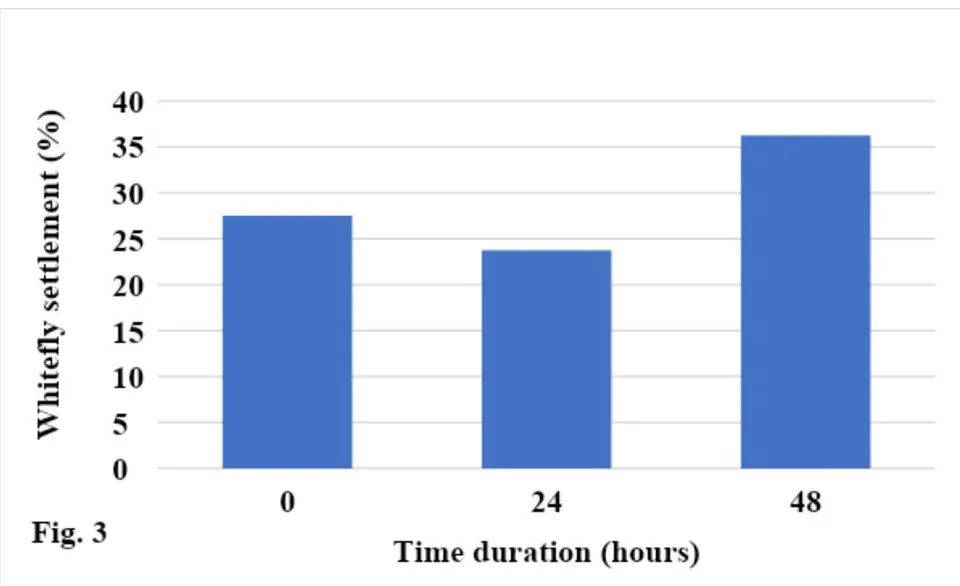 Fig. 2: Effect of aphid density on the population of whitefly adult attracted toward the infested plants