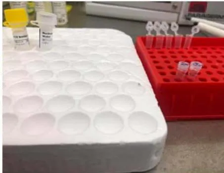 Figure 2: Preparation of the mix for real-time PCR