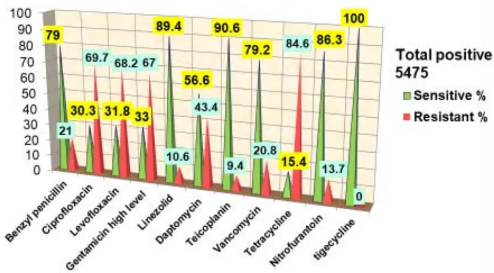 Figure 2: Cumulative interpretation of antimicrobial susceptibility pattern of Enterococcus species in various samples from January 2020 to April 2022