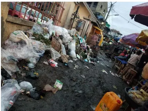Figure 9: Problems caused by street traders