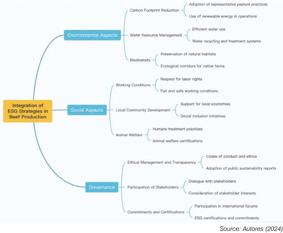 Figure 5: Mind Map: Adoption of ESG Strategies in Beef Production
