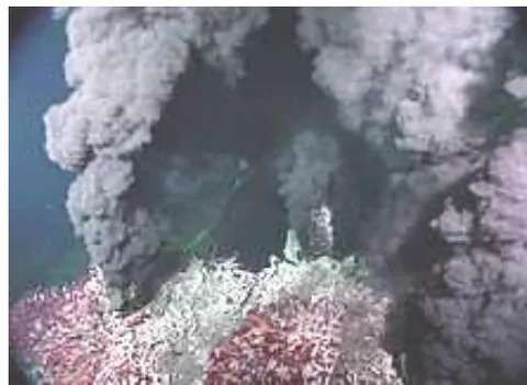 Fig. 8: Black smoker hydrothermal chimney (National Oceanographic Data Center)