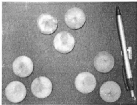 Fig. 5a: Ball-on-triflats test Fig. 5b. Set of nine discs as With water as lubricant test specimen/ABS plastic