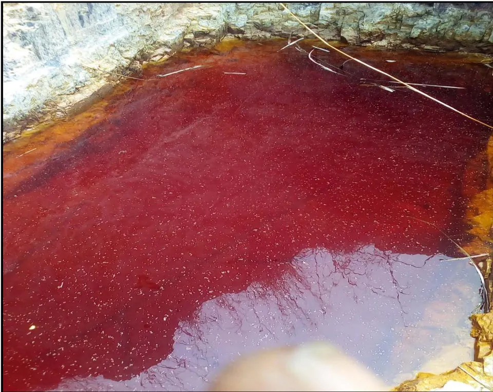 Fig. 7: Acid Mine Drainage seeping onto Agricultural Land