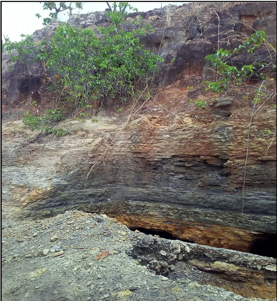 Fig. 8: Deforestation of Odagbo Landscape