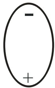 Fig. 3: Polarized drop of water