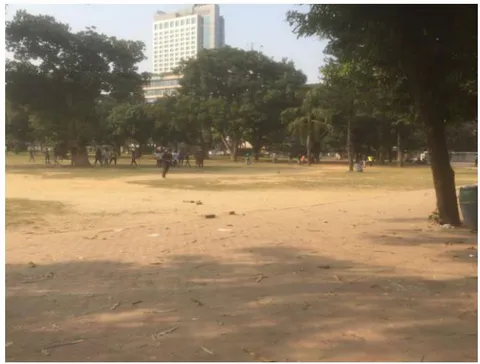Figure 4: Gulshan park maintained but lacks visual appeal.