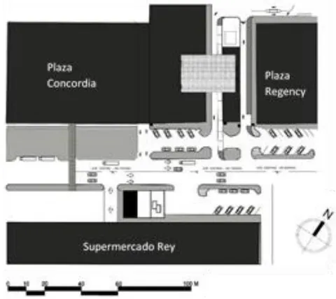 Figura 1: Vista en Planta, actualizada al 2018 de la Plaza Regency y Supermercado Rey.