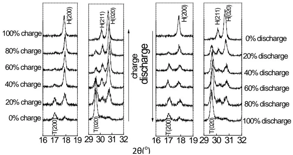 Fig. 21: Partial magnification of