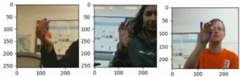Fig. 3: Example annotations of cropped images from HKD dataset.