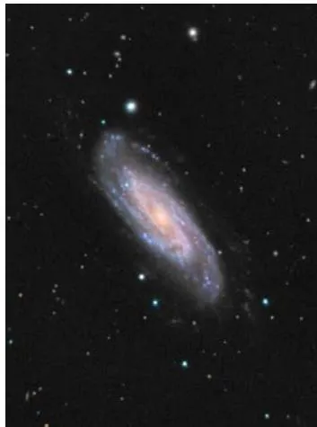 Fig. 1: Galaxy NGC3198 (GALEX image, NASA)