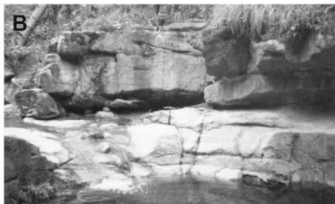 Figure 7: Outcrops of the Simón Formation, are observed conglomeratic sandstone with diastratiphication structures: A) Allende stream, Allende road, km 11 B) Yuni stream, San Juan Mixtepec road, km 6