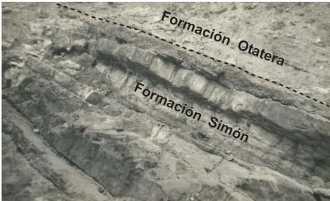 Figure 9: Outcrop show Simón Formation with Otatera Formation contact. It is observed black coquina resting on sandstone