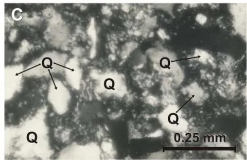 Figure 6: Micro-photographs of the Zorrillo/Taberna "Unit": A) Carbonaceous- phyletic siltstone, at natural light conditions. Clay cement, grains are mainly of quartz (Q) and carbonaceous material is in small forms, pointed out by arrows. B) Quartzite-phylitic mudstone observed by crossed nicol. It is observed mainly clay and clastic grains of quartz and mica (M). C) Subarkosic quartzite phyletic mid-grain sandstone observed by cross nicol. Quartz grains are plentiful