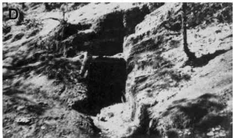 Figure 5: Outcrops of the Zorrillo/Taberna "Unit": A) La Carbonera Stream, show fine grained siltstone and sandstone, road to San Juan Mixtec, Km 6. B) Chicavandicuche Stream, show fine grain siltstone and sandstone, Idem km 6 C) Bridge on the Mixtepec road, show siltstone, Idem, km 8. D) Small Tunnel, show carbonaceous siltstone and lamination of coal, Idem, km 8.5