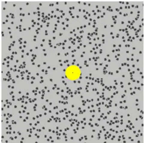 Figure 11: Schematically the diffusion mechanism in melts of condensation polymers at extremely high temperatures ( T_{m} + 100\ ^{\circ}C and above). The single independent kinetic elements (black particles) are short fragments of macromolecules, comprising one or a very small number of repeating units, which move in any possible direction. Large, flexible, entangled, and stable formations (macromolecules), to which one could apply the "Reptation model" for explaining the diffusion mechanism, are missing. (The motion can be seen by clicking here). The yellow object represents a particle with much larger sizes.
