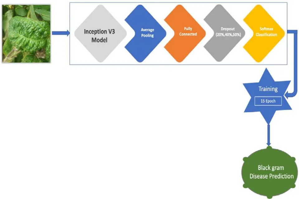 Figure 2: CNN Architecture for the Pre-Trained Model for Black Gram Disease Diagnosis