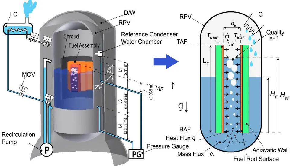 Fig. 5: Structure of reactor water level meter and boiling heat transfer model of fuel assemblies
