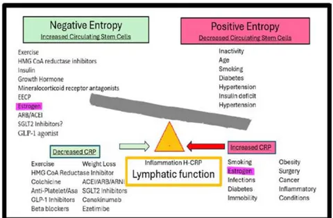 Fig. 2: Model of Health and Disease Balancing Positive and Negative Entropy by Lymphatic Function