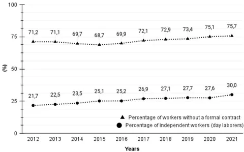 Figure 1: Percentage of Domestic Workers without a Formal Employment Contract and Percentage of Daily/Hourly Domestic Workers among Domestic Female Workers - Selected Years (Source: Developed by the Authors Based on Data from the PNAD)