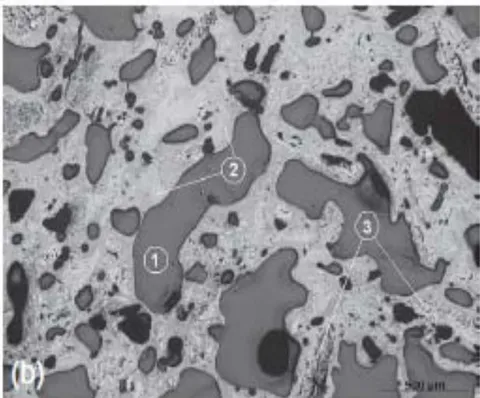 Figure 7: Biocoque optical micrographs: (a) coke with 10% charcoal; (b) coke with 10% charcoal and an additive. 1-Voids; 2-coke matrix; 3-particles of charcoal (Mathieson, 2015)