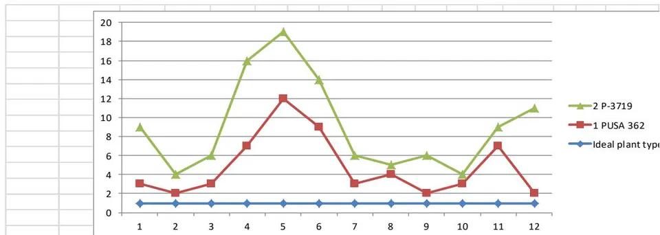 Figure 1: Graphical Comparison of Top Two Gram Varieties with Ideal Plant Type