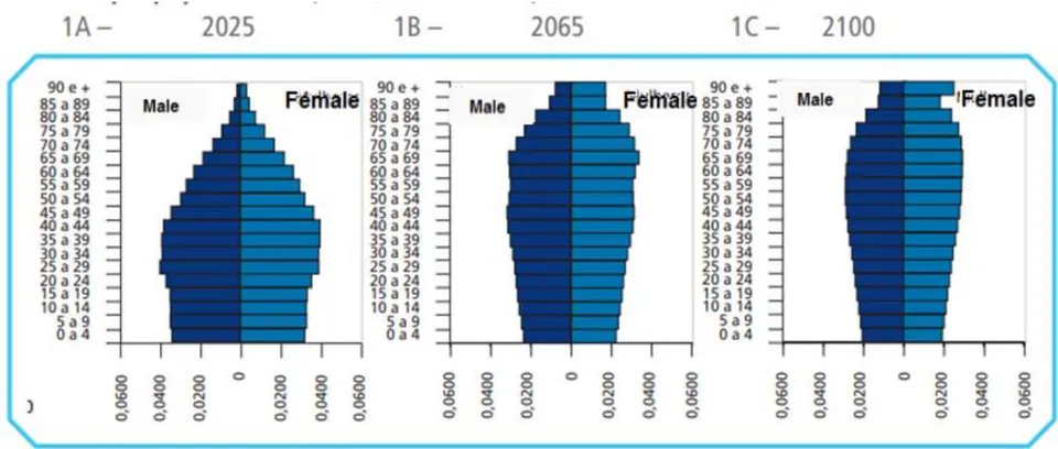 Figure 7: Projected Age Pyramid Expectations of the Brazilian Population by Gender, in the Scenario outlined by IBGE/Ipea for the years 2025, 2065, and 2100 Source: Bonifacio and Guimarães (2021)