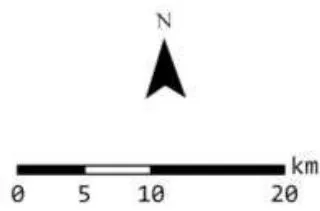 Figure 5: Different stages of the shoreline extraction processes: (1) Original satellite imagery, (2) NDWI raster calculation, (3) Binary classification of water and land, (4) Conversion of water areas into polygons, and (5) Final version of the shoreline after manual corrections.