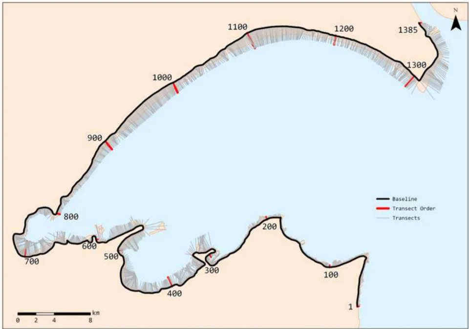 Figure 7: Baseline and transects generated for shoreline analysis across Kuwait Bay.