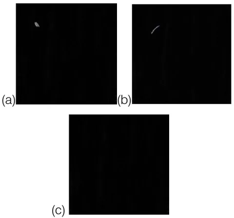 Figure 13: (a)(b) Results with Common Defect Detected; (c) Result with No Common Defect Detected