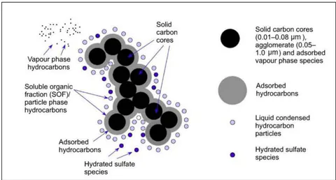 Figure 3: Schematic of Diesel Particles and Vapor Phase Compounds (Johnson et al., 1994).