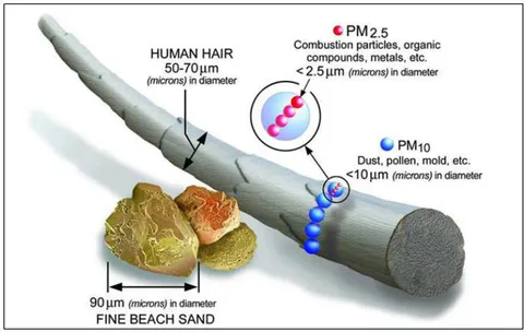 Figure 5: Size comparison between human hair and particle matter (EPA).